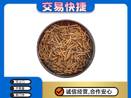 兰州皋兰县回收散虫草
